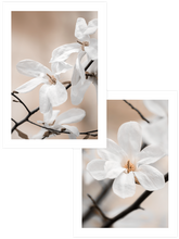 Blooming - Poster Seti Duo